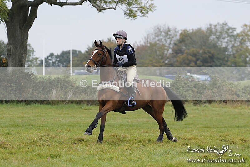 WWHT 181020 WWHT 181020 542 - WWEC Open Novice (0.80m) 18/10/20