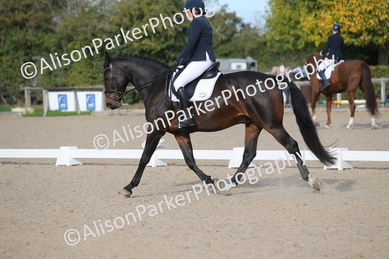 20261011-0235 - Class 4 - Novice 6