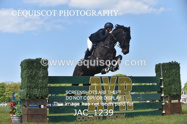 JAC_1239 - CLASS 3 Andrew Hamilton Coach, RHS Foxhunter Championship Qualifier