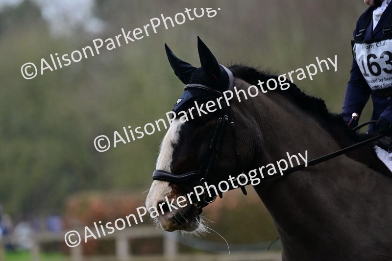 20260125-3796 - Class 12 - Novice