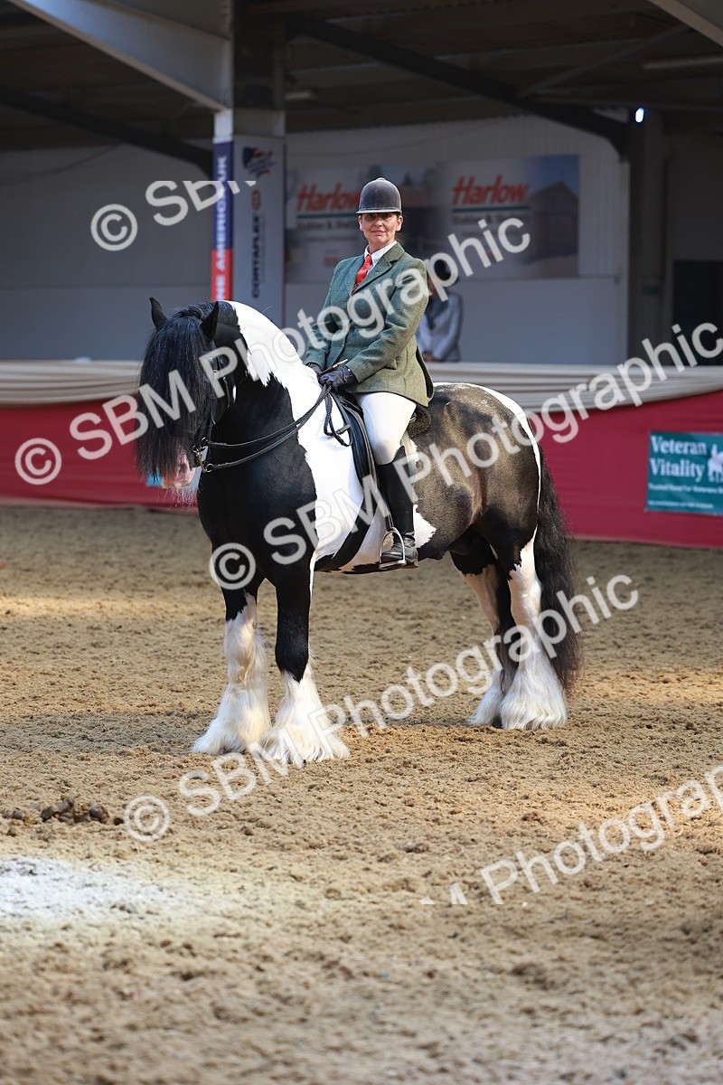 SBM_12752 - HOYS Veteran Qualifier - Ridden Champ