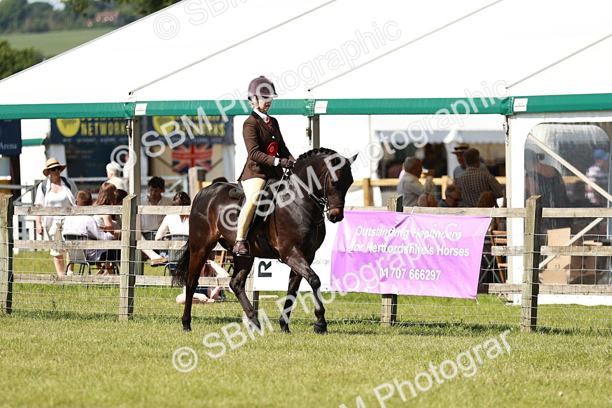 SBM_18508 - Class 112-113 - BSPS LIHS Working Sports Pony