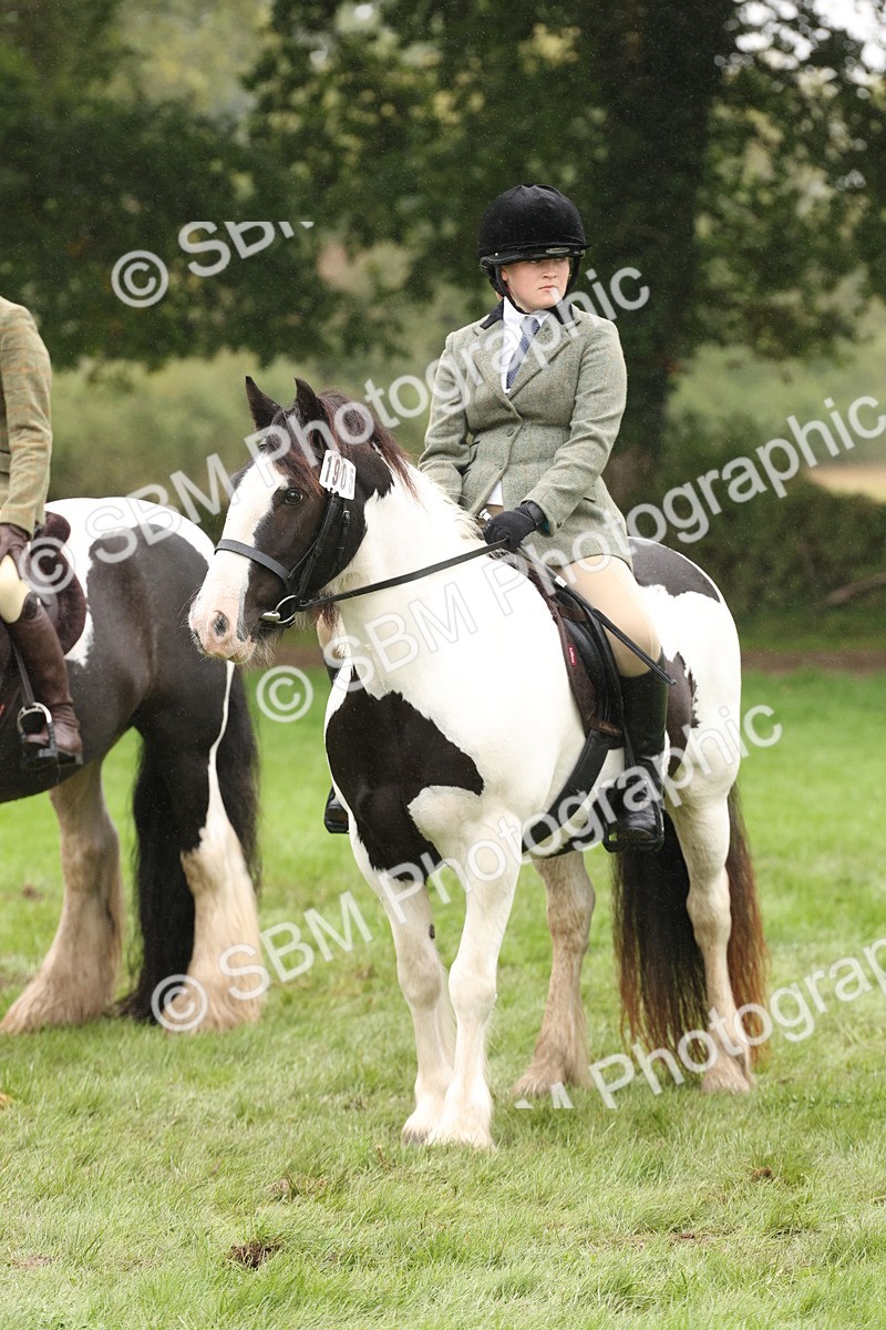 SBM_72766 - S70 - Traditional Cob Ridden