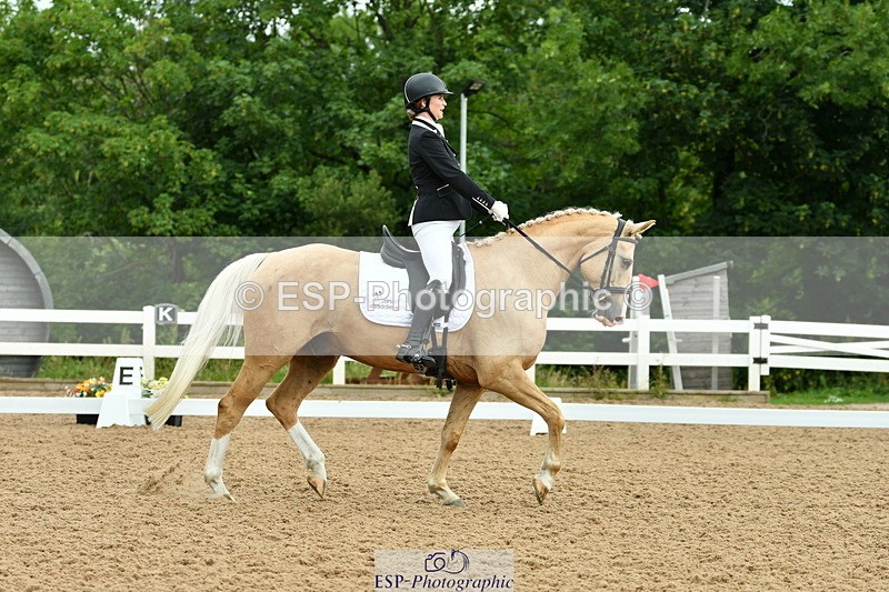 230701A-091813-04083 - Cls 6 Music Novice