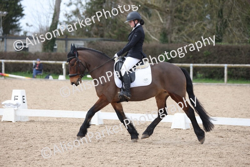 20260301-0934 - Class 6 - Elementary 5