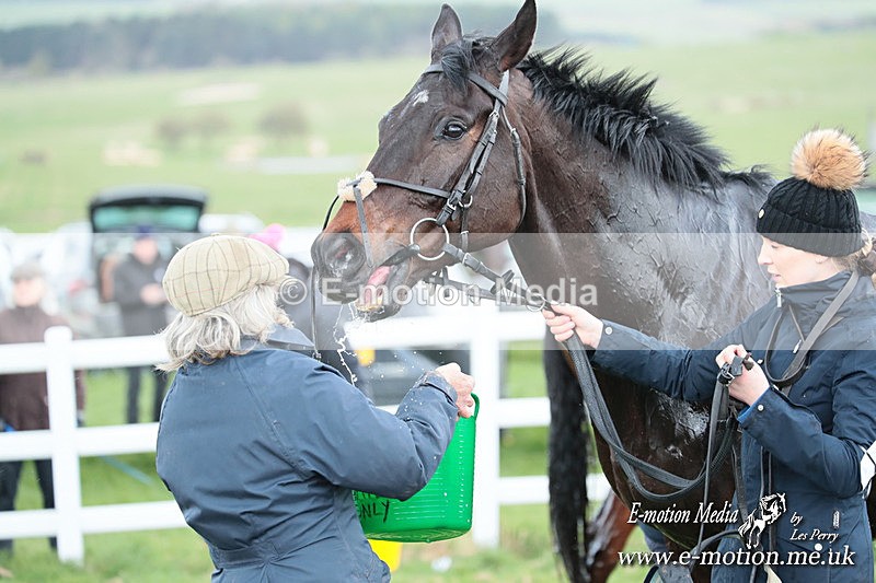 PtP 230324 461 - Tedworth Hunt PtP Larkhill Raccourse 23rd March 2024