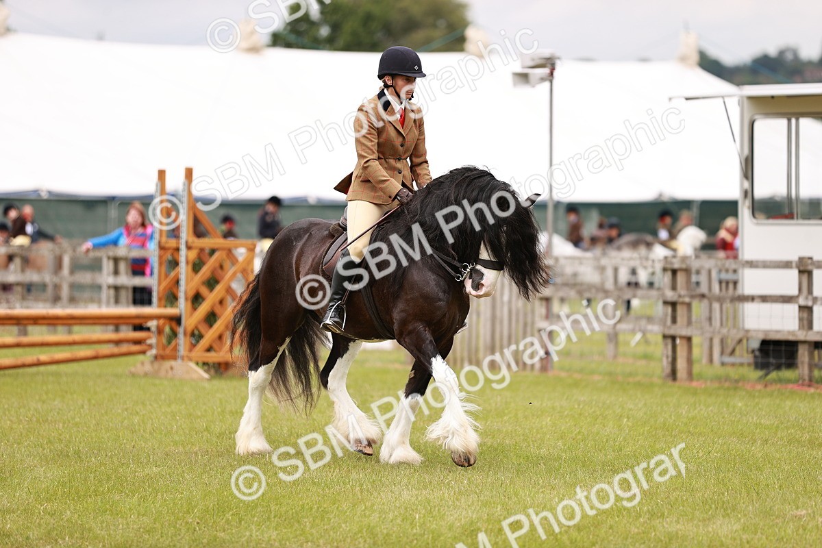 SBM_06182 - Class 39-41 TGCA In Hand and Ridden