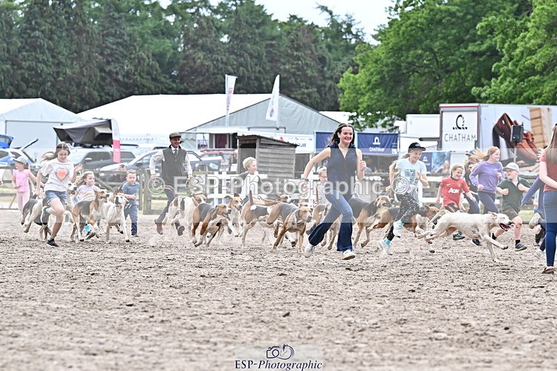 250524A-152837-12773 - East Devon Hounds