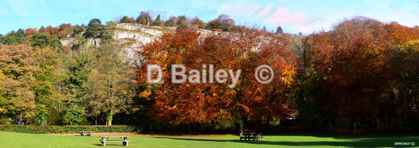 Loggerheads-Country-Park - Places of Interest