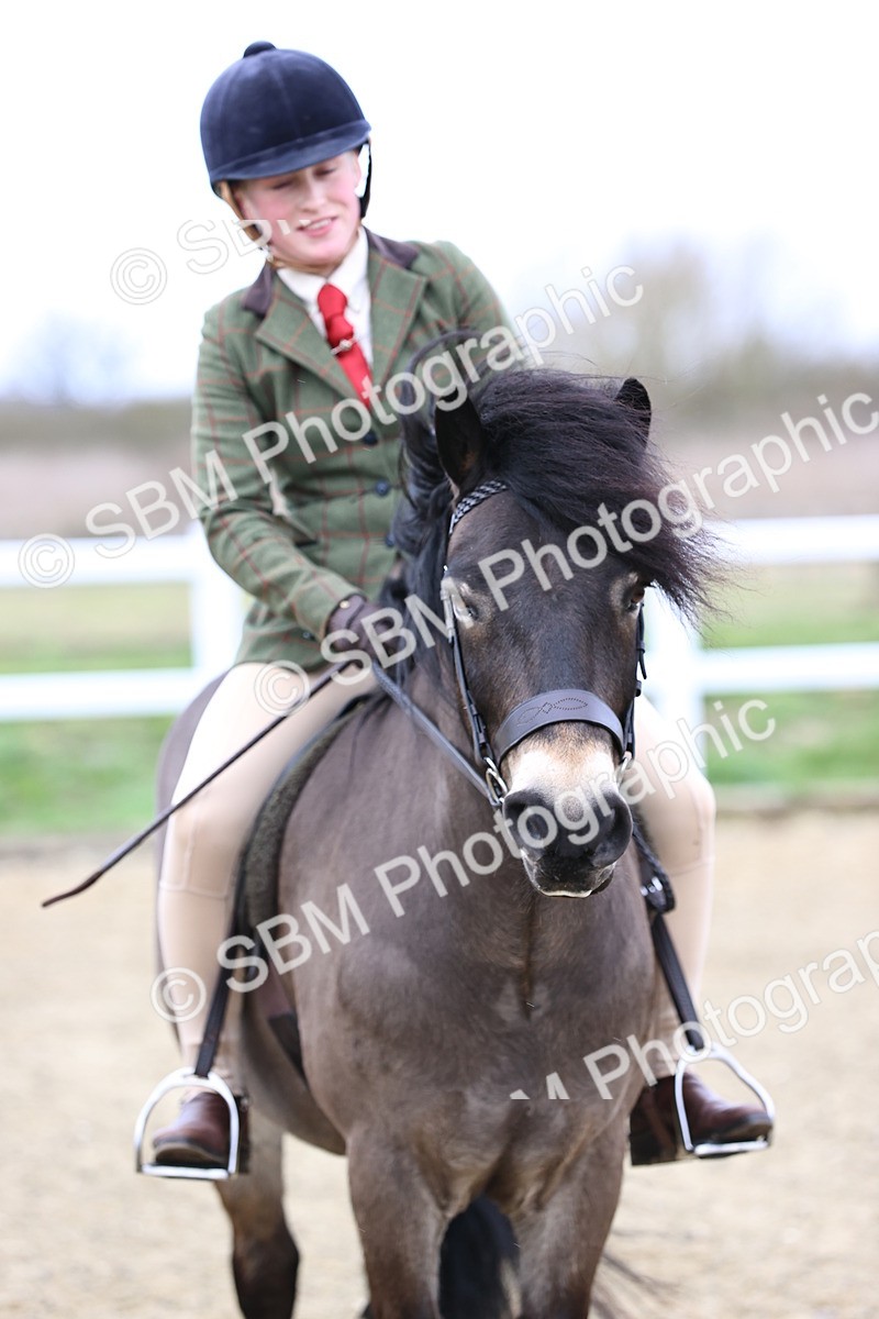 SBM_006823 - Class 29 - 30 - M&M Pure Novice Small-Large Breeds