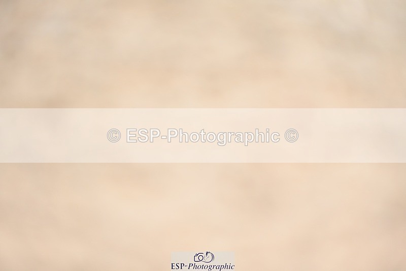 230813-165630-08520 - Cls 14 Medium Silver 16.45 to End