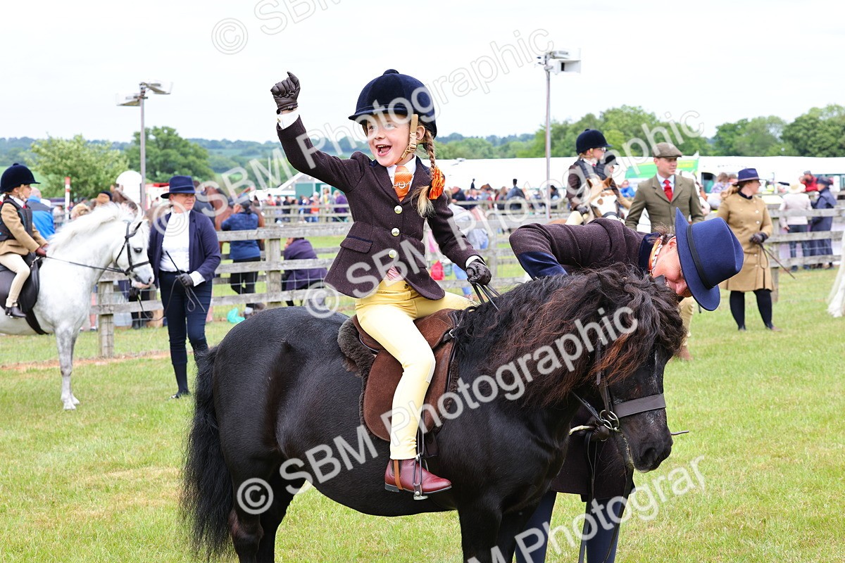 SBM_08341 - Class 42-43 - LIHS BSPS Heritage Working Sports Pony