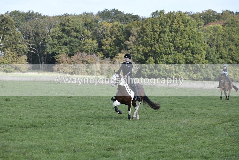 _DSC5985 - Time 11:23 to 12:05