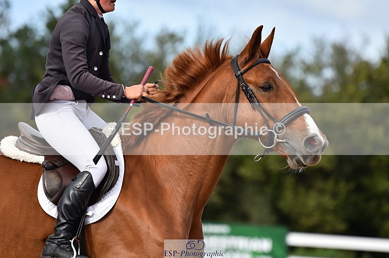 231014A-105508-03937 - Cls 13 85cm Amateur Q 2nd R