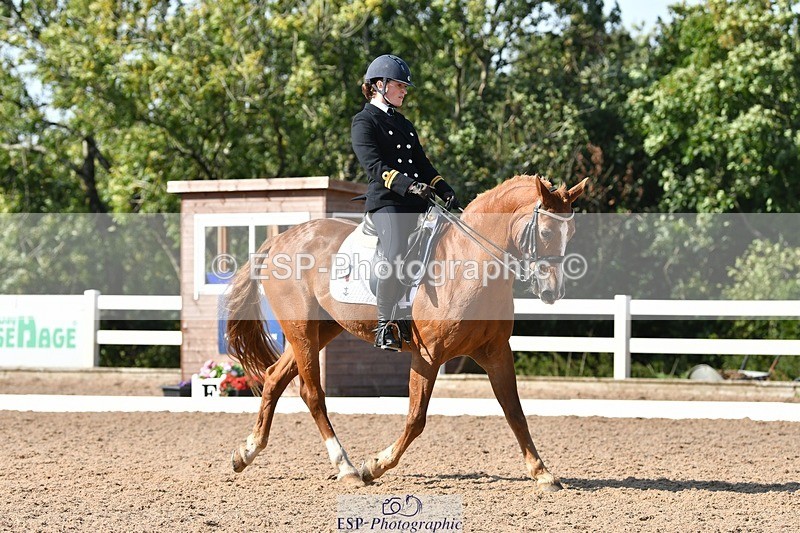 250906-154858-04445 - 122-India.JohnGrayswood.Orlando