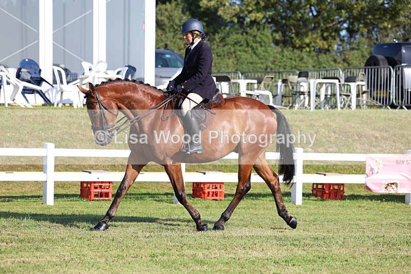 3E7A5370 - Class 2: Rising Star Large Hack/Riding Horse