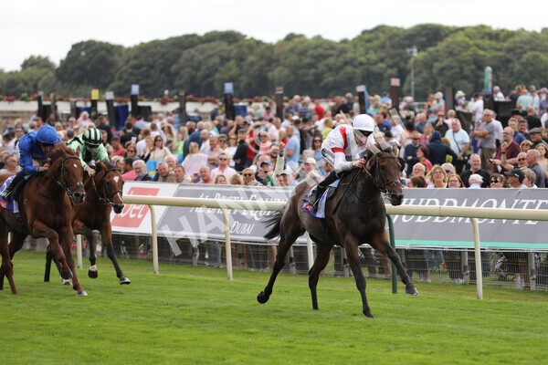 yr17082022r3-19 - Race 3 3.00pm Sky Bet Great Voltigeur Stakes