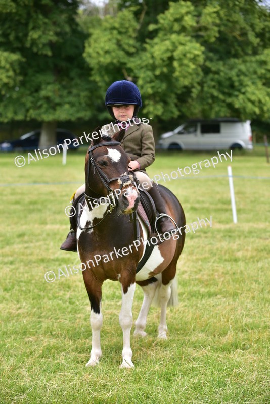 20260614-2717 - Class 13 - Pony Club Pony