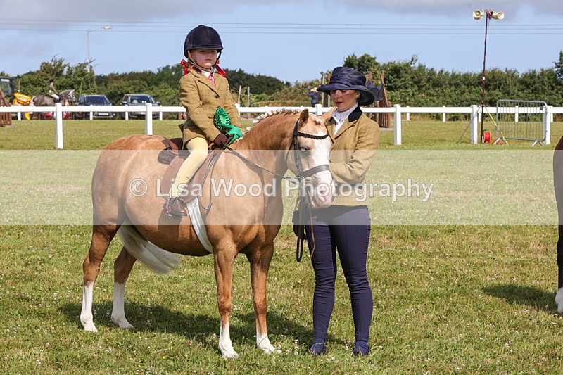 1X9A3687 - Class 29: Lead Rein SP/SHP