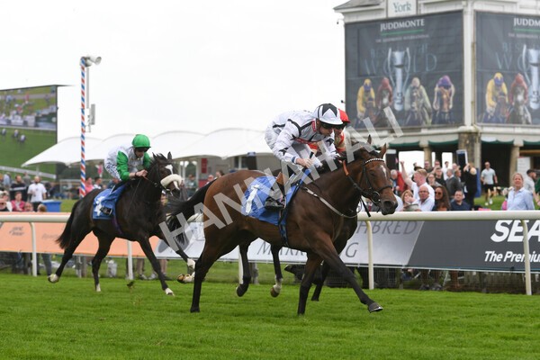 yr10062022r6-18 - Race 6 4.40pm No 1 York by GuestHouse Hotels British EBF Novice Fillies Stakes