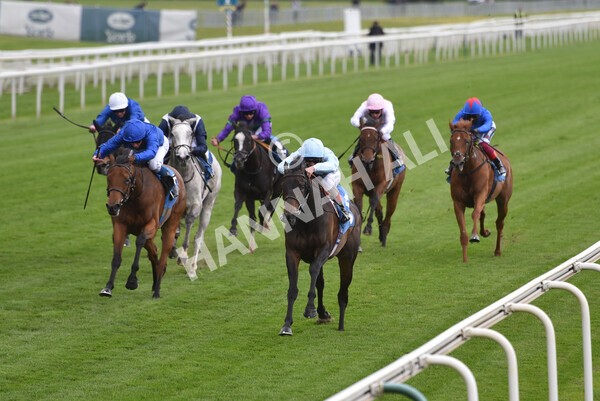 yr14052021r2-16 - Race 2 2.10pm Oak Farm Stables Fillies' Stakes (registered as the Michael Seely Memorial Stakes)