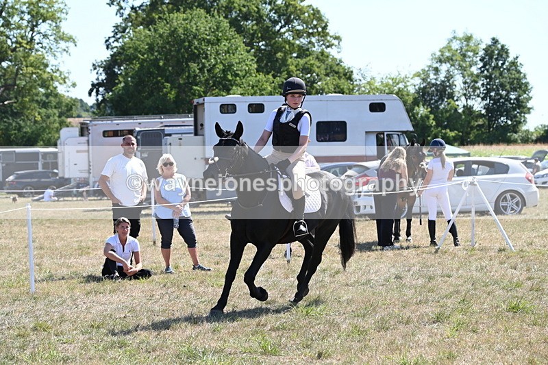 WJ6_8917 - Class 38 Ridden Riding Horse/Pony