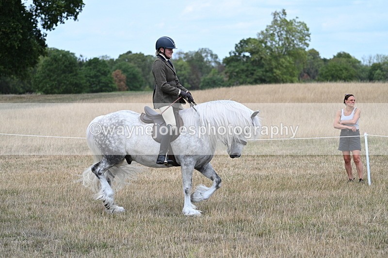 WJ7_4756 - Class 12 Ridden Cob