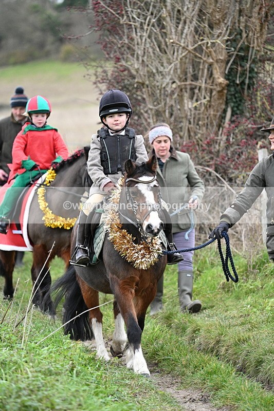 WJ7_0933 - First Seen