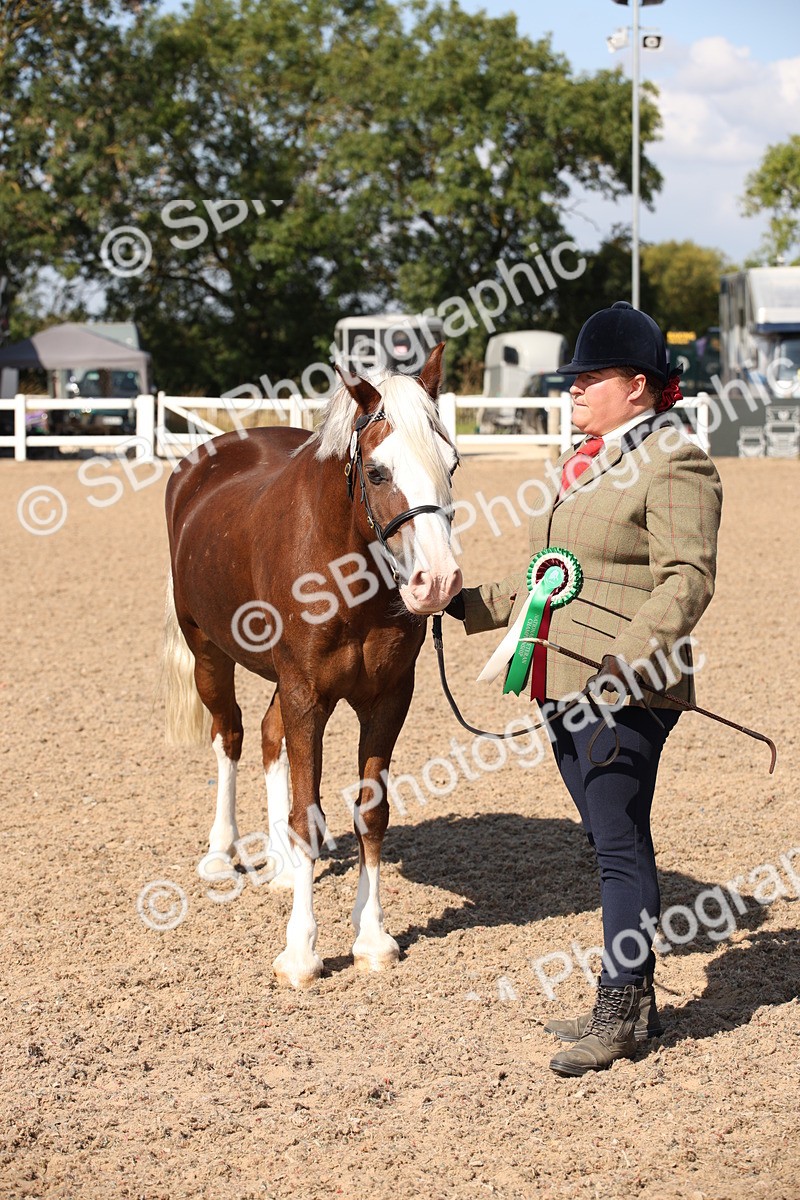 SBM_02825 - Class 16 IH M&M Wildcard