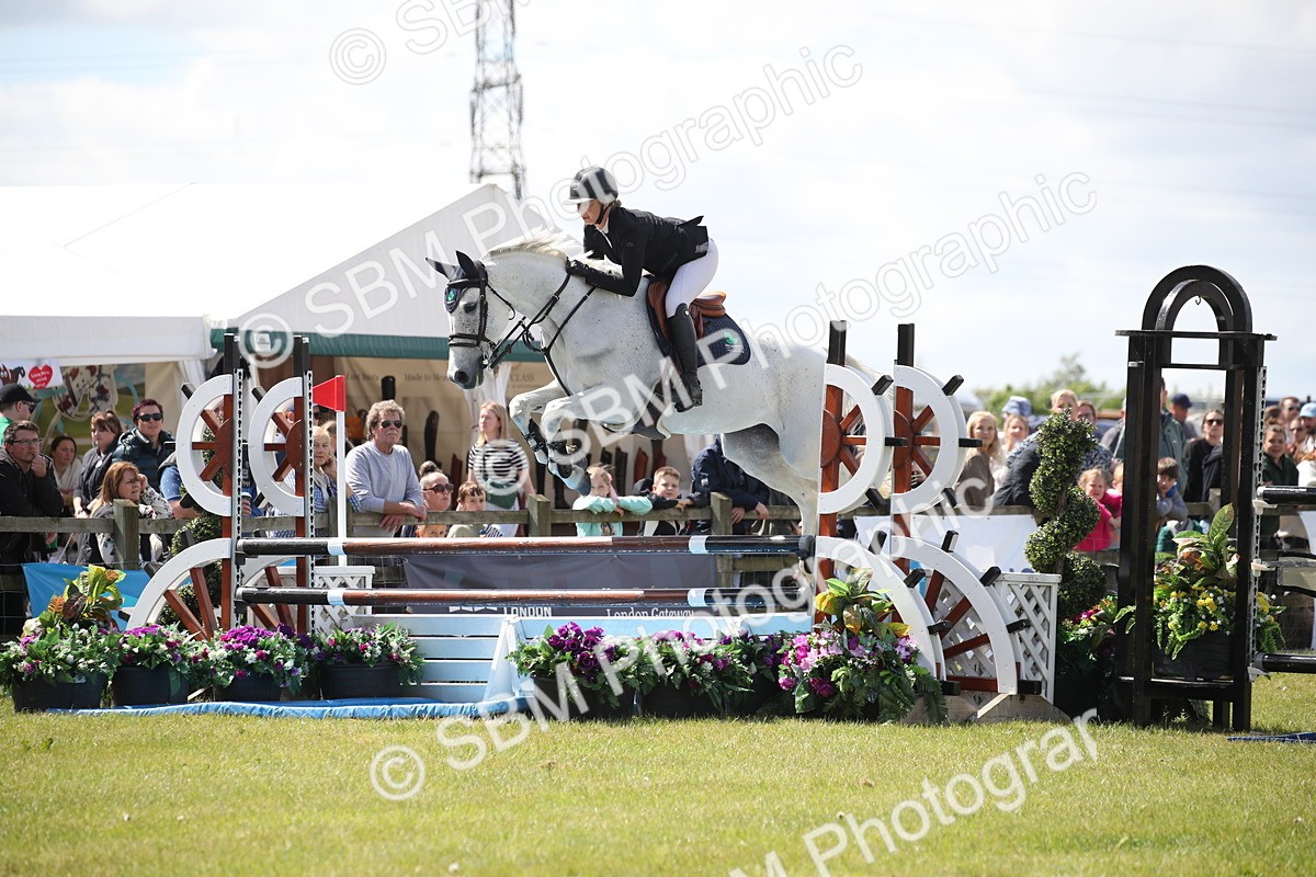 SBM_17383 - Class 208 - Senior Foxhunter 1.20m Open