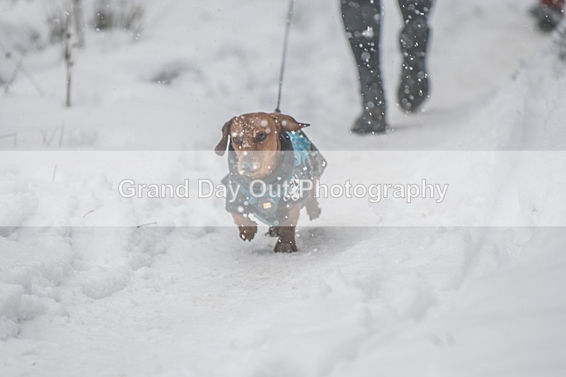 Glentress-2019 - High Terrain Events Glentress 42, 21 & 10K Trail Races Sunday 15th February 2026