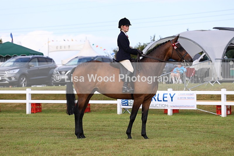 3E7A8178 - Class 2: Rising Star Large Hack/Riding Horse