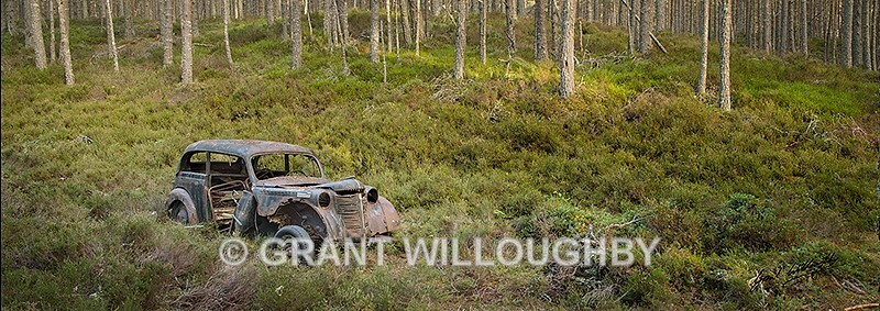 Rust in Peace - Latest work