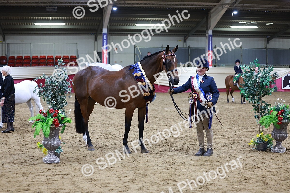 SBM_20359 - Class E - Best Turned Out Champ