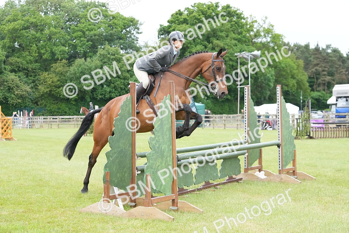 SBM_12625 - Class 97-98 - LIHS BSHA Rising Star Working Show Horse Hunter