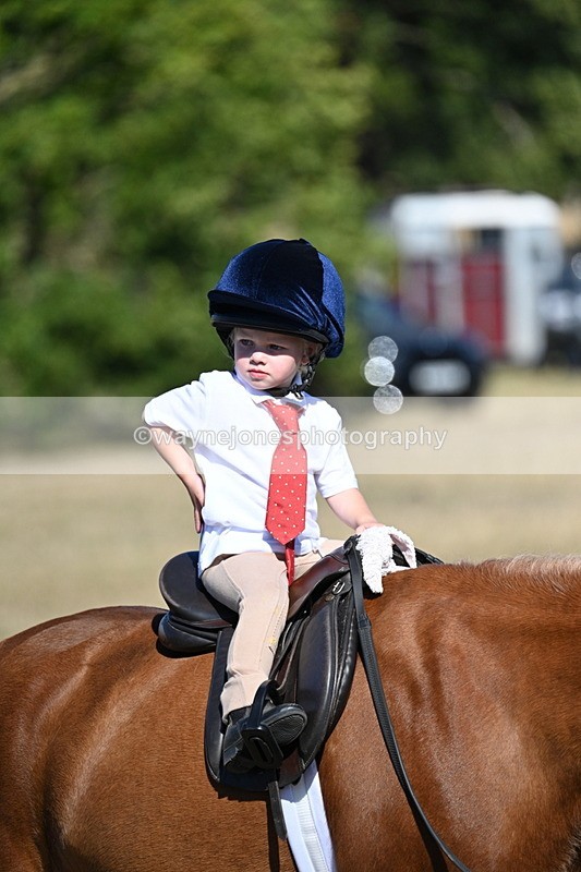 WJ7_2084 - Class 44 Child's Best Friend