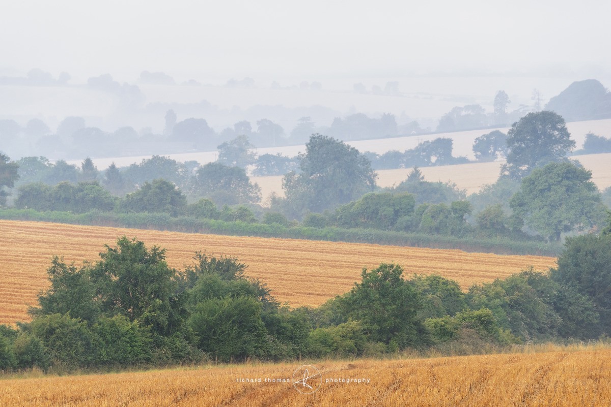 View across misty fields near to Alresford in Hampshire