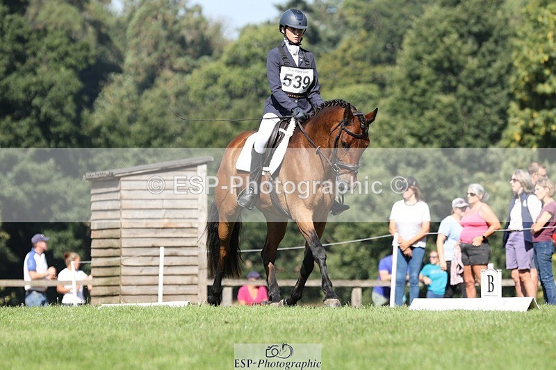 250823A-104942-27798 - Arena D