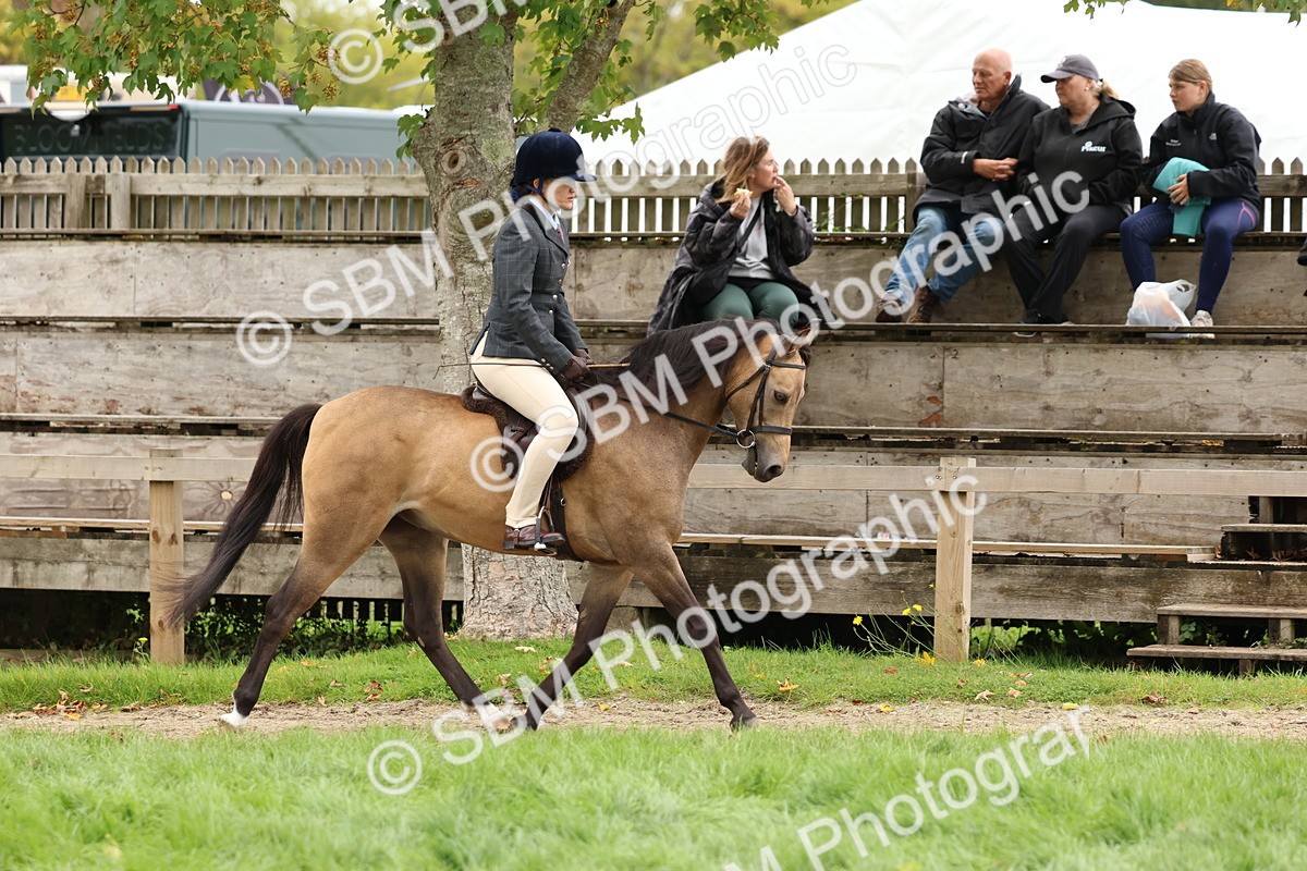 SBM_67371 - S61 - Mountain & Moorland Ridden