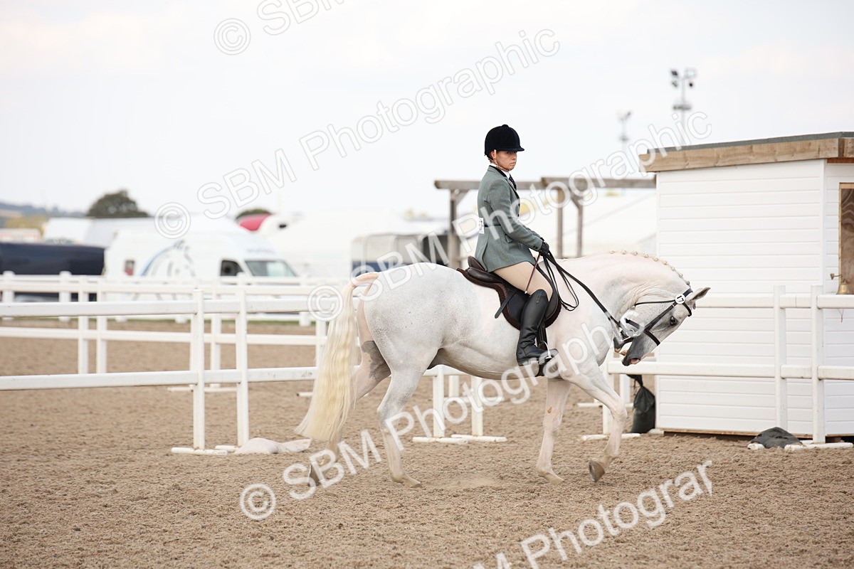 SBM_08736 - Class 12R Regional Ridden Pre-Vet