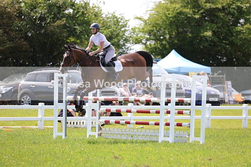 3E7A1364 - Class 12: Senior Foxhunter/1.20 open