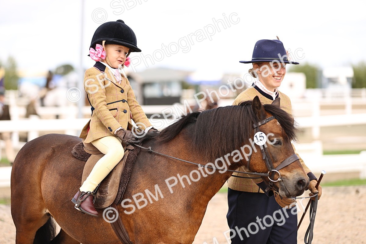 SBM_16161 - Class 420 - Horse-Pony Judge would most like to take home (IH or Ridden) Jnr