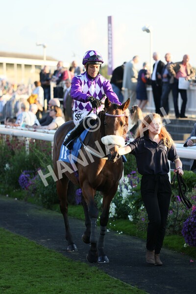 yr08102021r7-14 - Race 7 5.25pm The IRE Incentive, It Pays To Buy Irish Handicap