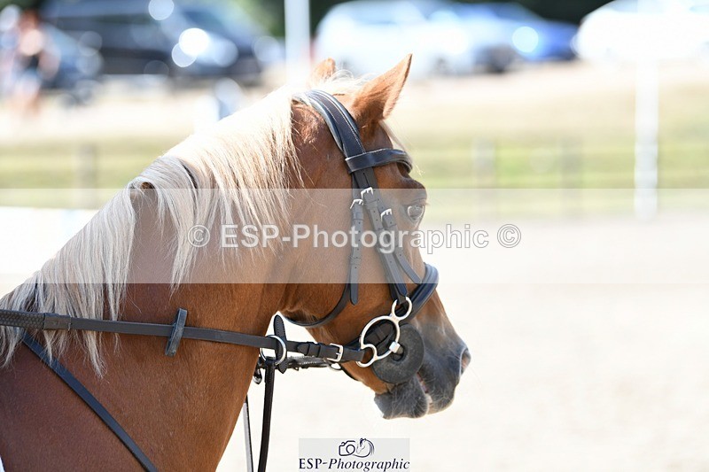 250822A-110121-20904 - NAF Round 1 10.20 to 11.30