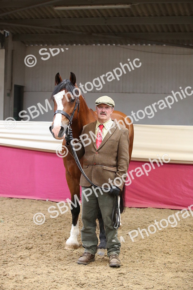 SBM_05771 - Class 9R - Regional IH Pre-Vet