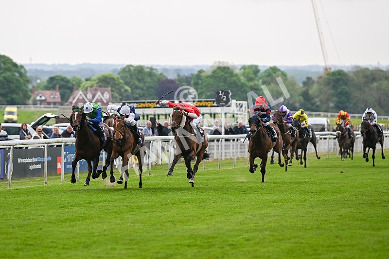 140524-Race 7-Spartan Warrior-3149 - Race 7