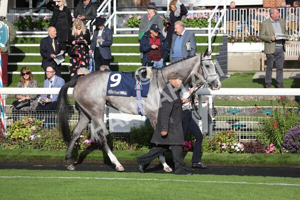 yr07102022r4-7 - Race 4 3.50pm William Hill Best Odds Guaranteed Stakes