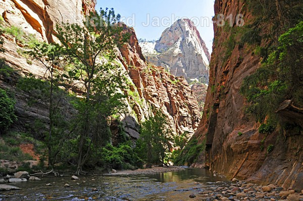Virgin River Narrows - Zion National Pk. -  2012