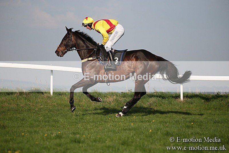 PtP 210418 562 - South & West Wilts Point-to-Point Larkhill 21/04/18