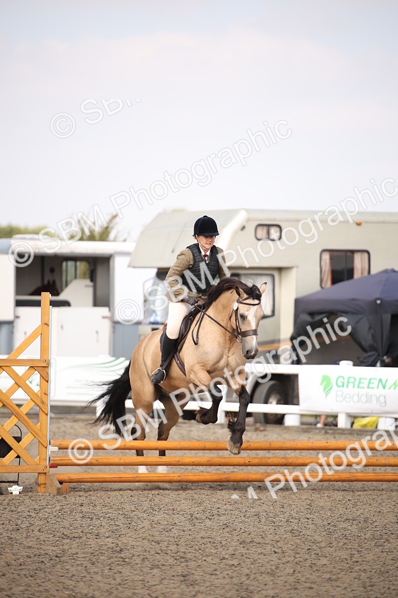 SBM_14154 - Class 407a - Working Veteran 60cm (15-19